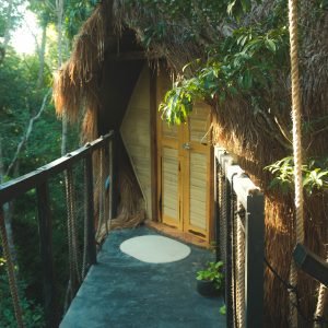 DSCF2920 (1) Earth Dome - In Her Element